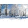 Adventskalender mit weihnachtlichen Schokotäfelchen Winterwald