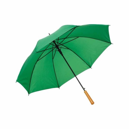 Regenschirm FREUDE AM LEBEN in grün