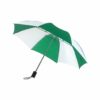 Taschenschirm RAINDANCE in grün und weiss