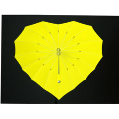 Regenschirm in Herzform