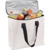 Kuehltasche XXL auch für 2 Liter Flaschen