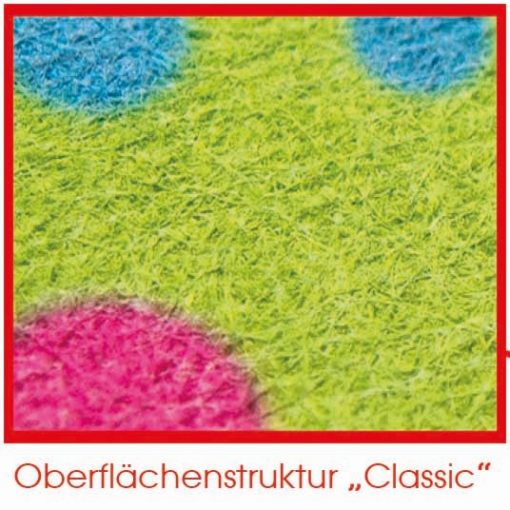 Scheibenschwamm und Display-Reiniger Klassik