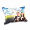 Scheibenschwamm und Display-Reiniger Pemium