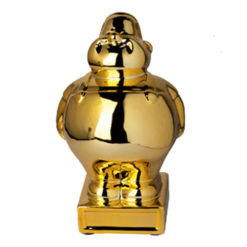 Goldjunge