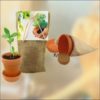 Baum im Jutesack