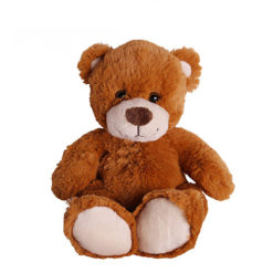 Teddy-Bär zum verlieben
