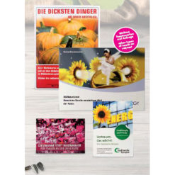 Tütchen voller Blumensamen in verschiedenen Größen - auch als Mailingverstärker geeignet