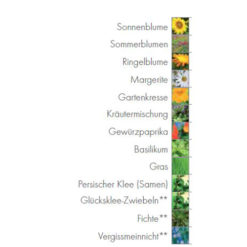 Holzwürfel mit Blumensamen in verschieden Größen.