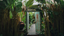 Outdoor & Green