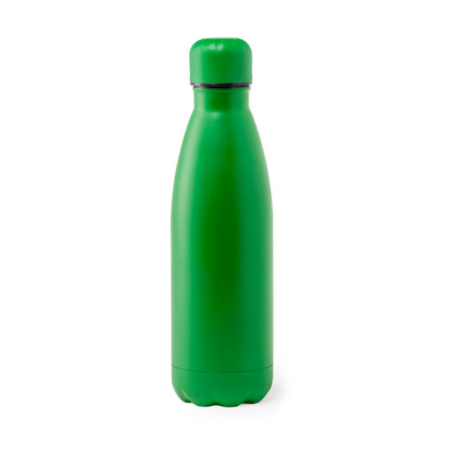 Edelstahl-Trinkflasche grün